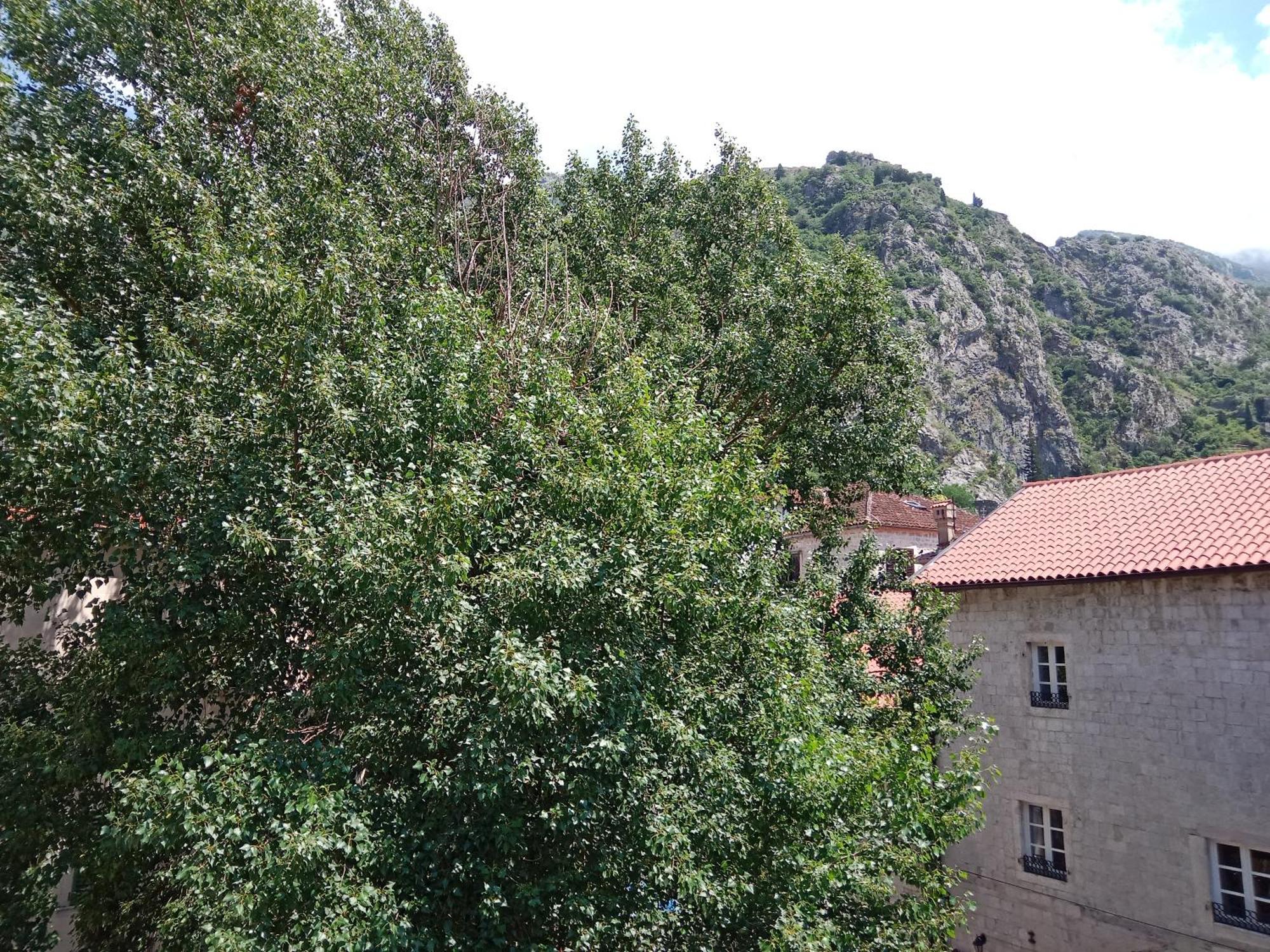 Ferienwohnung Centar Starog Grada Kotor Exterior foto
